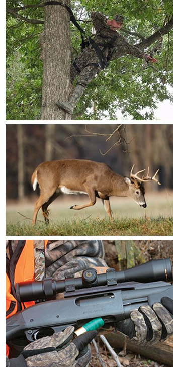 Hunting Supplies, Archery, Gun