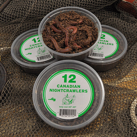 12_canadian_crawlers_1