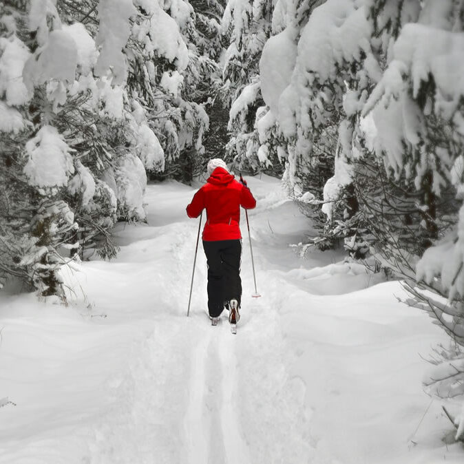cross-country-skiing-crop